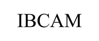 IBCAM