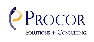 P PROCOR SOLUTIONS + CONSULTING