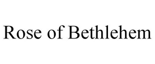 ROSE OF BETHLEHEM