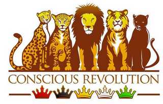 CONSCIOUS REVOLUTION