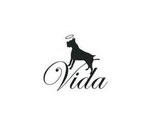 VIDA