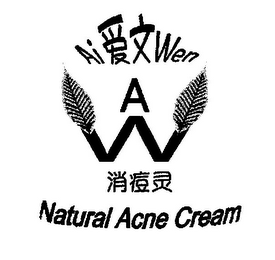 AI WEN A W NATURAL ACNE CREAM