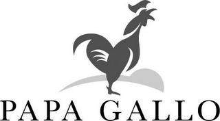 PAPA GALLO