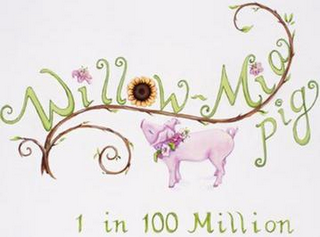 WILLOW-MIA PIG 1 IN 100 MILLION