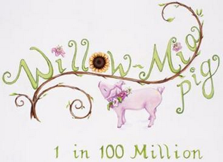 WILLOW-MIA PIG 1 IN 100 MILLION