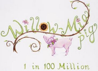 WILLOW-MIA PIG 1 IN 100 MILLION