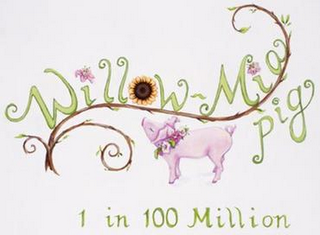 WILLOW-MIA PIG 1 IN 100 MILLION