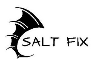 SALT FIX