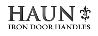 HAUN IRON DOOR HANDLES