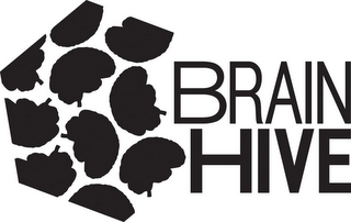 BRAIN HIVE