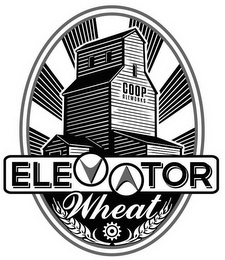 COOP ALEWORKS ELEVATOR WHEAT