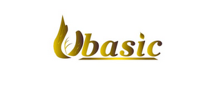 UBASIC