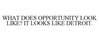 WHAT DOES OPPORTUNITY LOOK LIKE? IT LOOKS LIKE DETROIT.