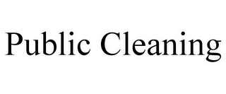 PUBLIC CLEANING