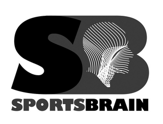 SB SPORTSBRAIN