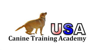 USA CANINE TRAINING ACADEMY