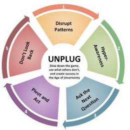 UNPLUG SLOW DOWN THE GAME, SEE WHAT OTHERS DON'T AND CREATE SUCCESS IN THE AGE OF UNCERTAINTY 1 DISRUPT PATTERNS 2 HYPER-AWARENESS 3 ASK THE NEXT QUESTION 4 PIVOT 5 ACT DON'T LOOK BACK