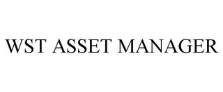 WST ASSET MANAGER