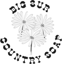 BIG SUR COUNTRY SOAP