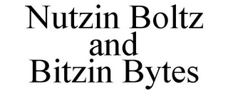 NUTZIN BOLTZ AND BITZIN BYTES