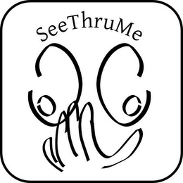 SEETHRUME
