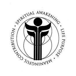 · SPIRITUAL AWAKENING · LIFE PURPOSE · MEANINGFUL CONTRIBUTION ·