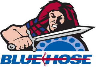 BLUE HOSE