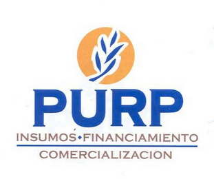 PURP INSUMOS · FINANCIAMENTO COMERCIALIZACION