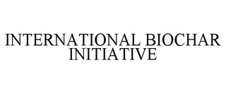 INTERNATIONAL BIOCHAR INITIATIVE