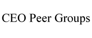 CEO PEER GROUPS