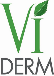 VI DERM