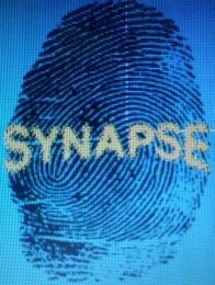 SYNAPSE