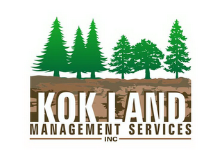 KOK LAND MANAGEMENT SERVICES INC