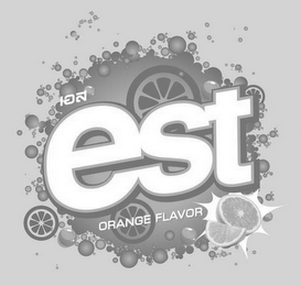 EST ORANGE FLAVOR