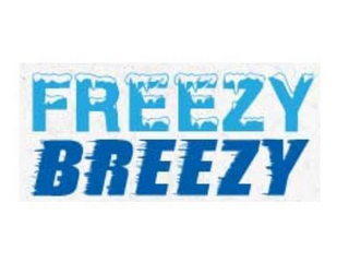 FREEZY BREEZY