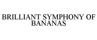 BRILLIANT SYMPHONY OF BANANAS