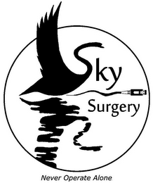 SKYSURGERY NEVER OPERATE ALONE