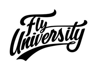 FLY UNIVERSITY