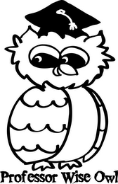 PROFESSOR WISE OWL