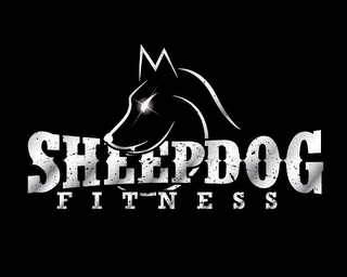 SHEEPDOG FITNESS