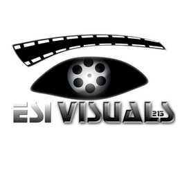 ESI VISUALS 213