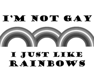 I'M NOT GAY I JUST LIKE RAINBOWS