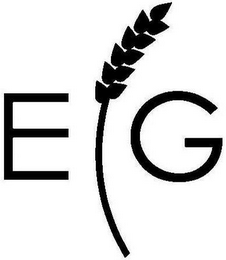 E G
