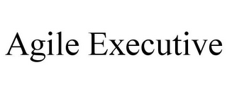 AGILE EXECUTIVE