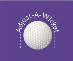 ADJUST-A-WICKET