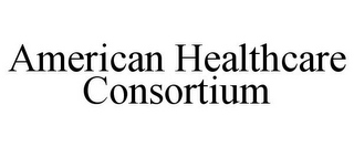 AMERICAN HEALTHCARE CONSORTIUM