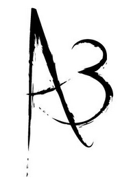 A3