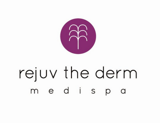 REJUV THE DERM MEDISPA