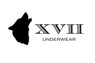 XVII UNDERWEAR