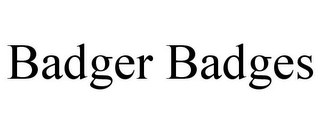 BADGER BADGES